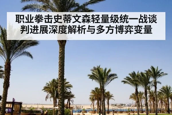 职业拳击史蒂文森轻量级统一战谈判进展深度解析与多方博弈变量